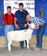 Highland Patrol, sire "Hammer", champion North Country, West Virginia sale. Pictured with Macqueen,S