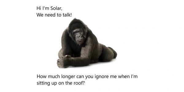 800lb gorilla