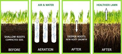 Benefits of Aerating