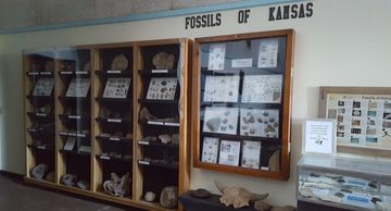 display of fossils