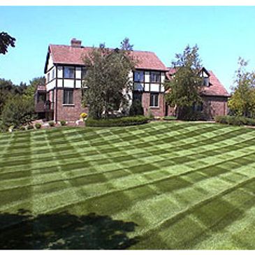 Since 1989, mowing lawns has been the bread and butter of Success Groundskeeping.  We Love it!  It's