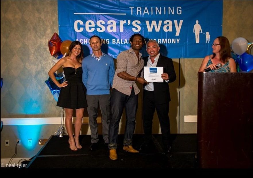 Dog Training | chicago dog trainer | Dog Bootcamp | Dog Private Lessons |CESAR MILAN | Chicago Dog T