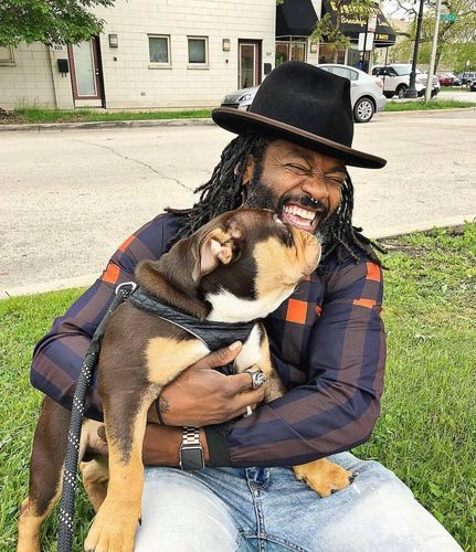Master Dog Trainer, Chicago Dog Trainer, Dog training Boot Camp , Training Dogs at Wolfkeeper
