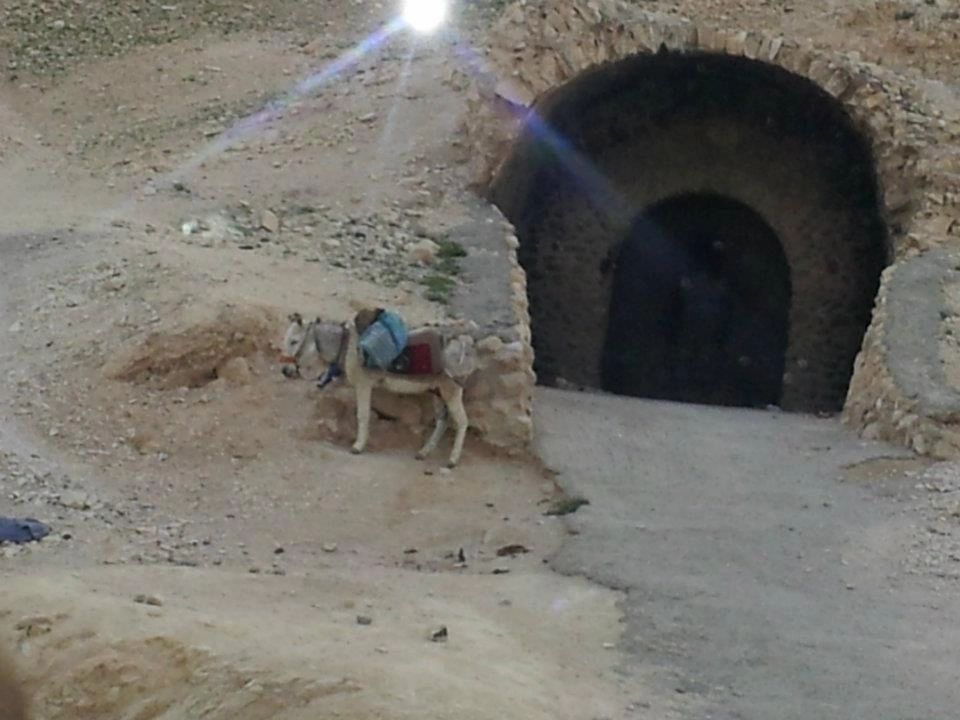 Photograph taken by Rev. Karen W. Curry in the Holy Land.