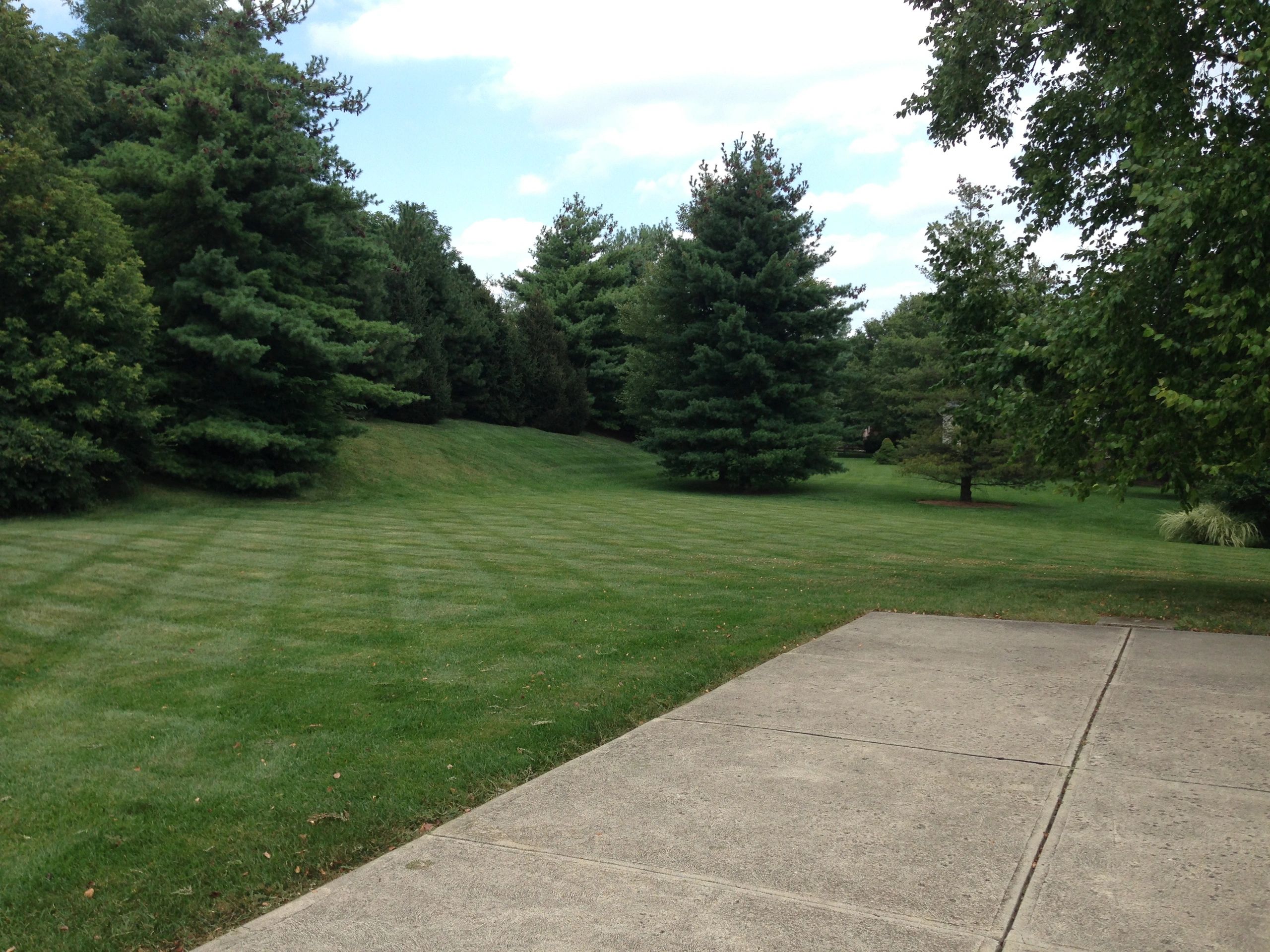 Grassmasters Lawn And Landscaping Grassmasters Lawn And Landscaping