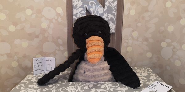 Cordy at NANA resort and spa reception desk