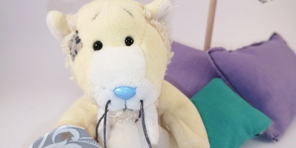 Sebastian the photographer