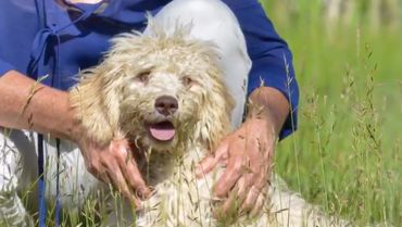Carly while training.
