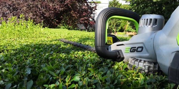 Hedge trimming hedge cutting in Epsom Banstead Kingswood Ashtead