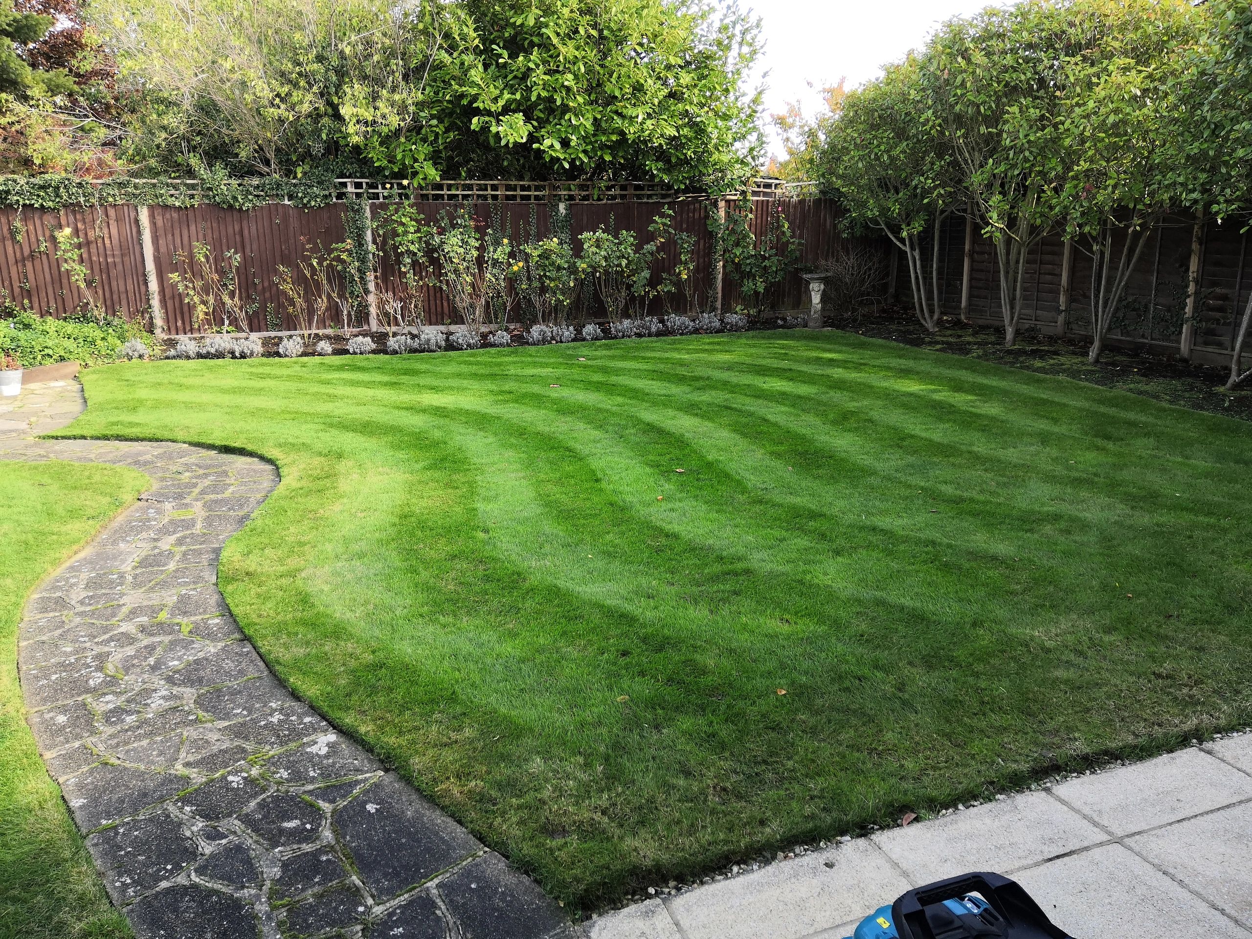 Garden Maintenance in Ashtead Epsom Kingswood Banstead