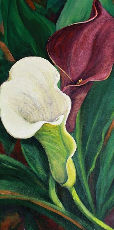 Calla lilies