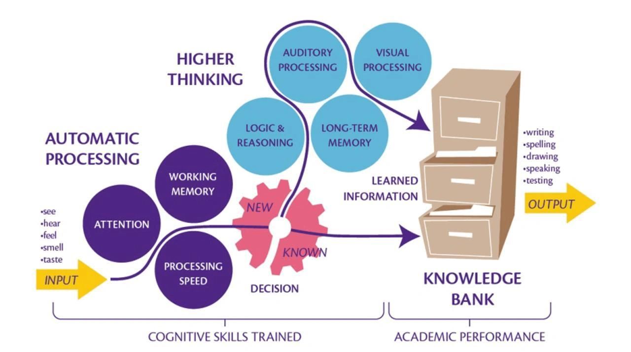 Diagram explaining relationship between cognitive skills trained and academic performance.