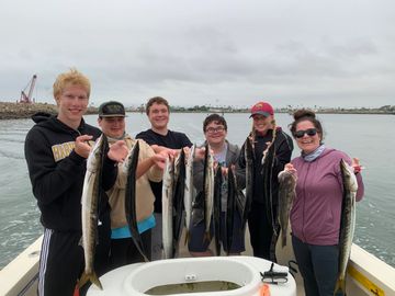 Local Huntington Beach barracuda fishing big fish