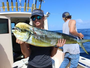 Dorado or mahi mahi caught off Huntington Beach pier