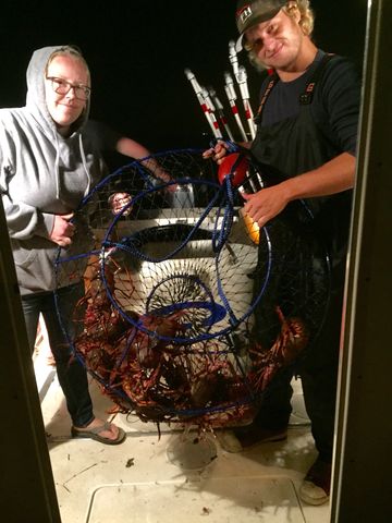 Lobster catching with Promar Hoopnet hoopnetting