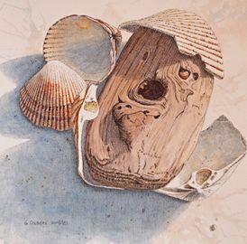 shell and driftwood painting