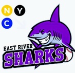 East River Sharks