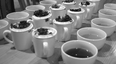 tea tasting conducted with hot tea in mugs and wet leaf on lids