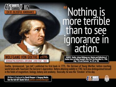 Wolfgang von Goethe. Nothing is more terrible than to see ignorance in action. 401 Quote Cards.