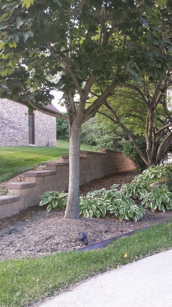 Picture of a garden area