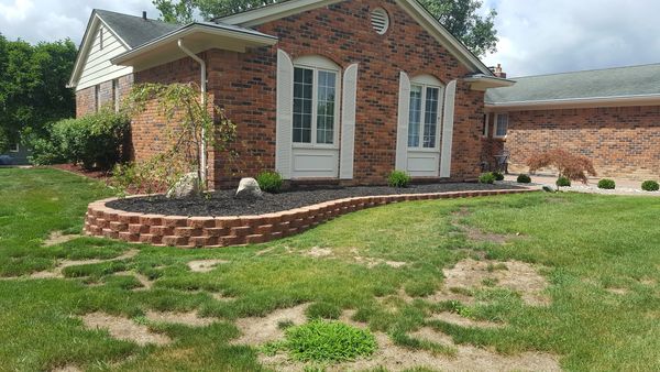 Picture of a garden area in a house