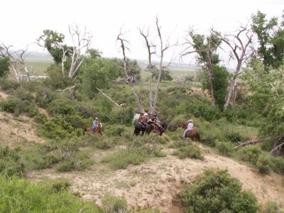 Enjoy the Serenity of Spirit Dancer Ranch! 
We have Obstacles, hills, ditches, trees, trails and Fun
