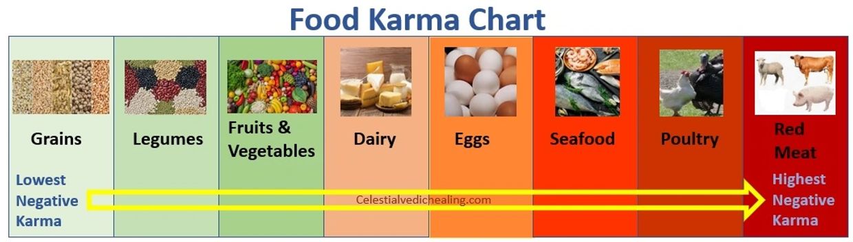 Brahmee Vedic Karma Healing Food Karma