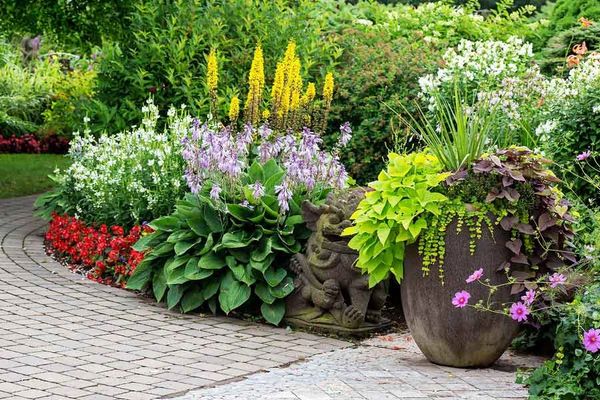 planting, spring flowers, planters