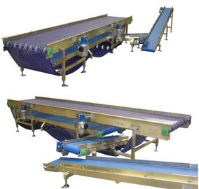 Buffer Conveyor, Modular Conveyor, Conveyor System, Conveyor Systems, Modular Belt Conveyor