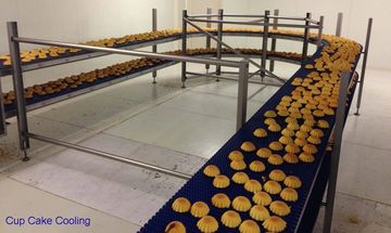 Buffer Conveyor, Modular Conveyor, Conveyor System, Conveyor Systems, Modular Belt Conveyor