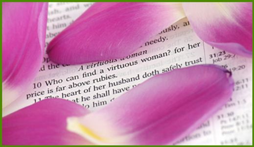 Petals over a bible page