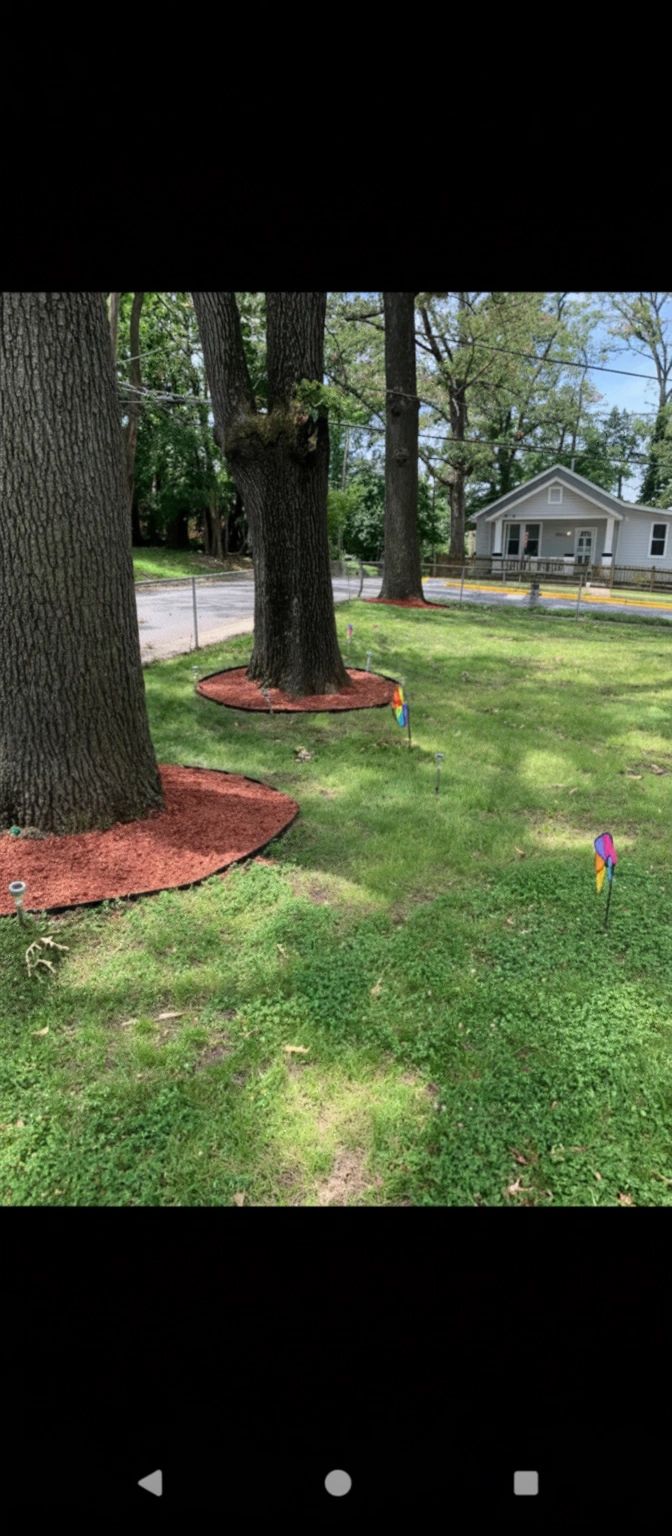 Tree Ring Mulching & Edging