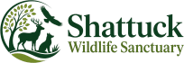 Shattuck Wildlife Sanctuary