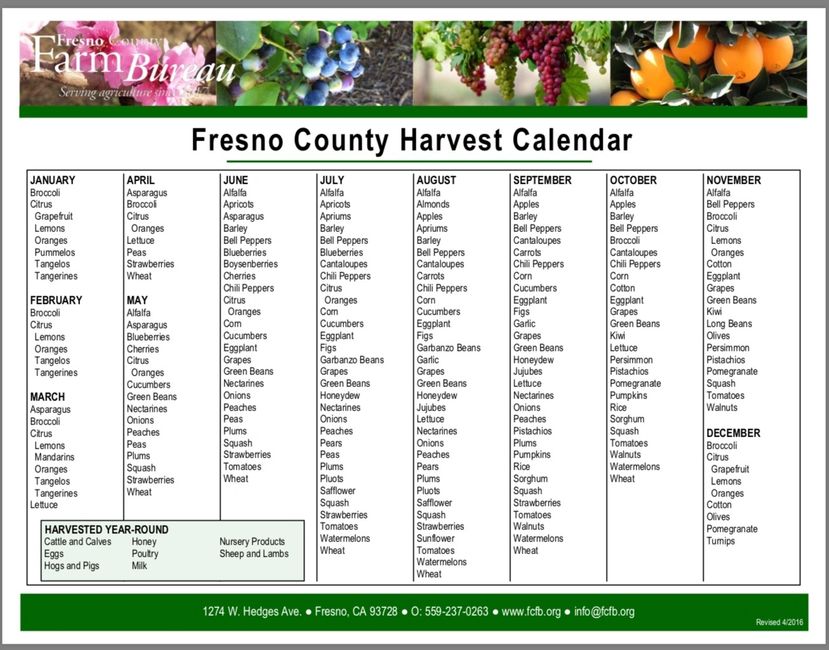 Vineyard Farmers Market Produce, Artisan Purveyors