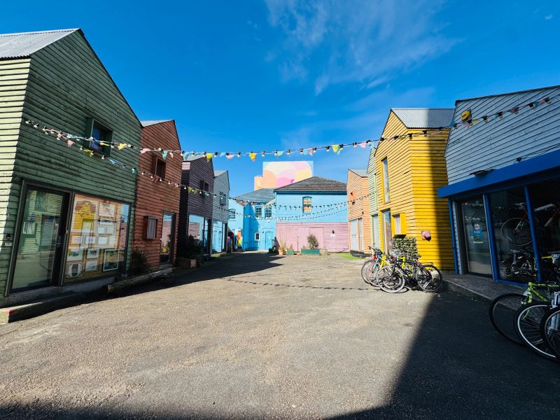 blue_house_yard_landscape.jpg