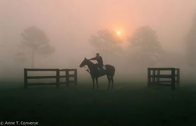 Turf Training, Payson Park