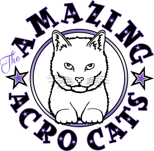 Donate to Rock Cats Rescue Rock Cats Rescue / Amazing Acrocats