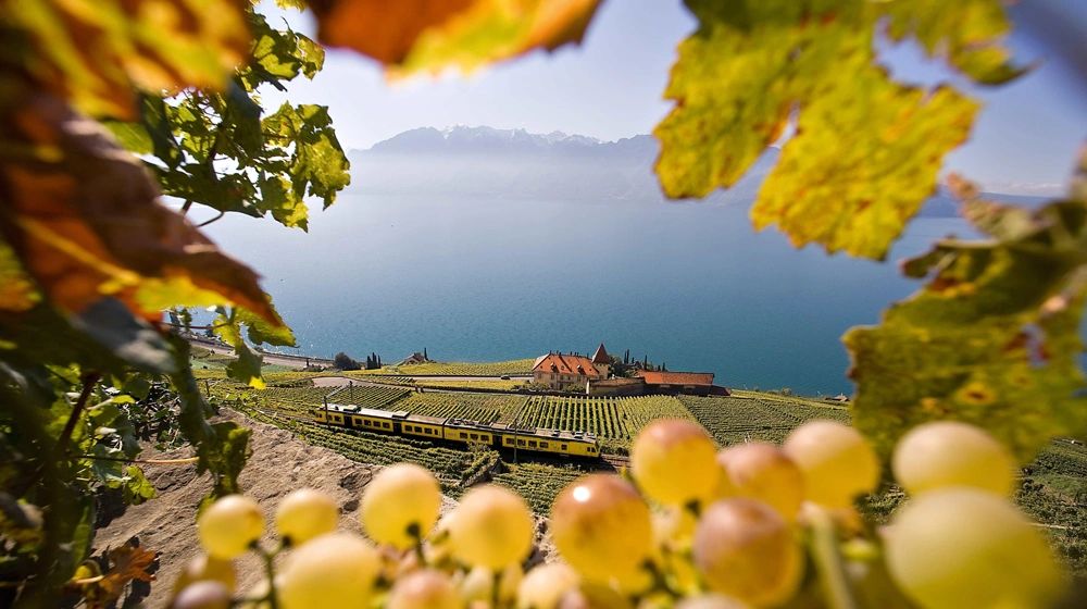 Concerts Culinaires de Chardonne overlooking Lake Geneva