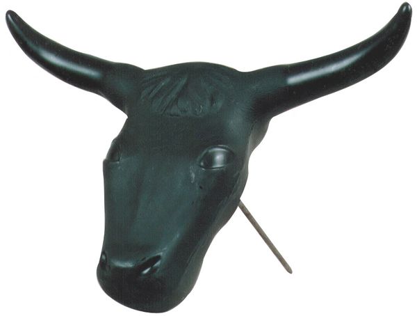 Original Steer Head