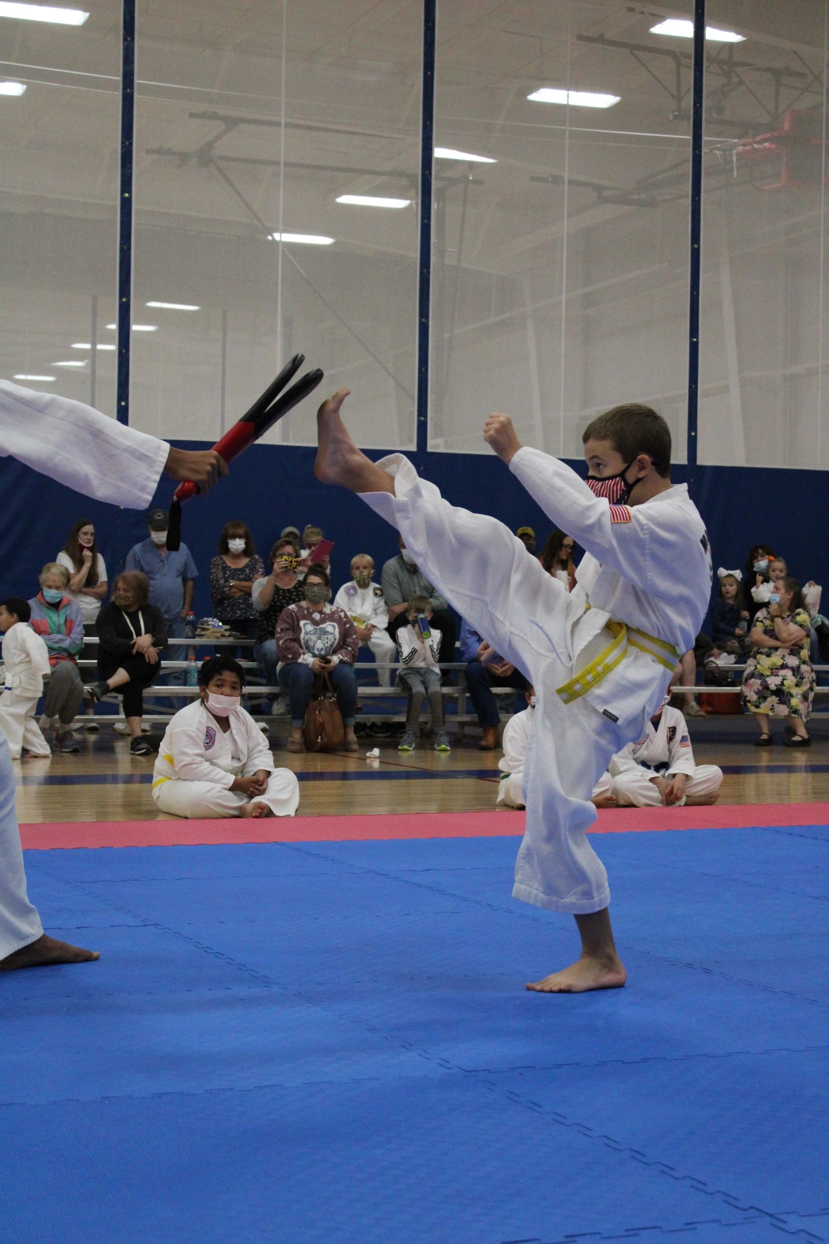 Martial Arts Missouri Taekwondo Institute