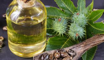 Organic Jamaican Black Castor Oil