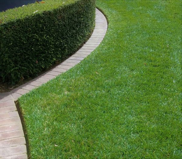 classic maintenance of lawn area