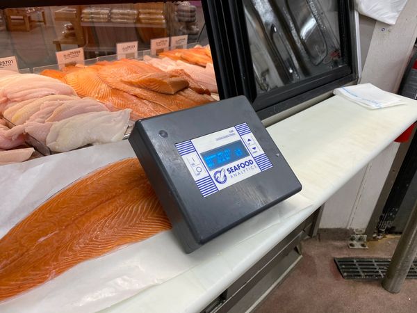 The waterproof Certified Quality Reader measuring  salmon quality. Fish fat meter.