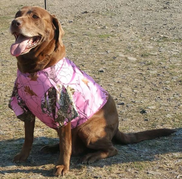 Pink Camo Dog Jacket NW Camo