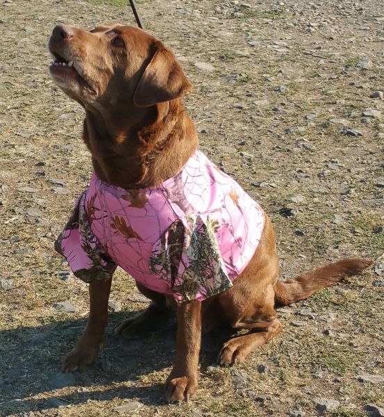 Pink Camo Dog Jacket NW Camo