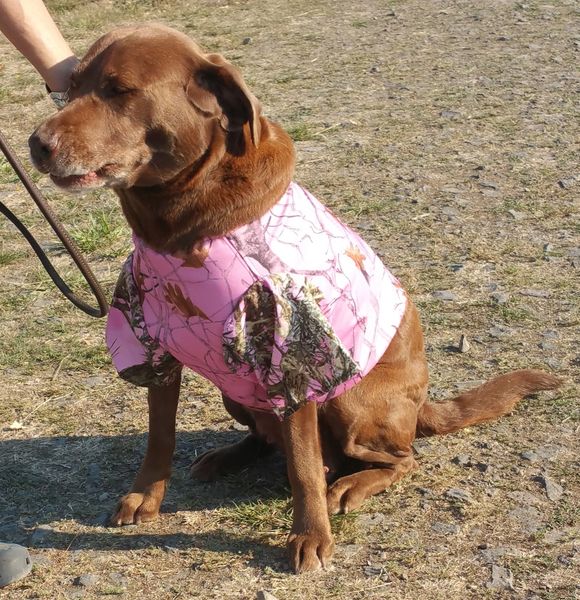 Pink Camo Dog Jacket NW Camo
