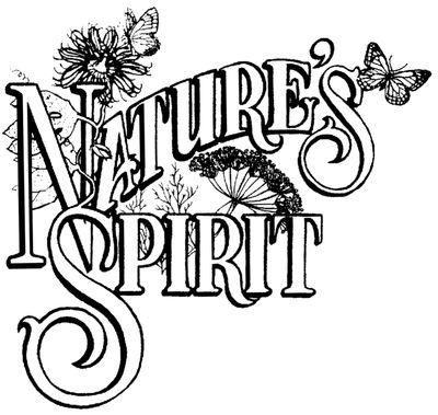 Nature's Spirit Distinctive Aromatherapy