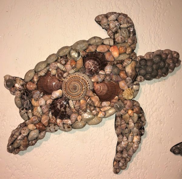 Seashell Turtle Shell Turtle Seashell Wall Decor Beach Decor Nautical ...