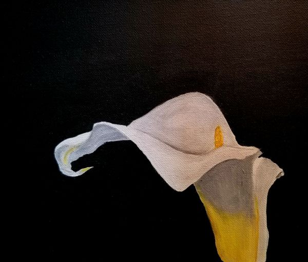 SOLD - Calla Blanco 8x10 acrylic on canvas