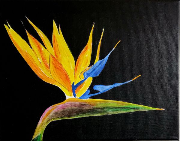 Acrylic on Canvas, 11"x14", Bird of Paradise